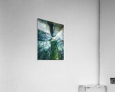V1618 Acrylic Print
