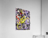 V1620 Acrylic Print