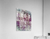 V1629 Acrylic Print