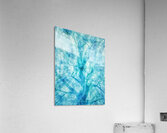 V1630 Acrylic Print