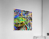 V1631 Acrylic Print