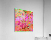 V1641 Acrylic Print