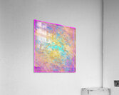 V1643 Acrylic Print