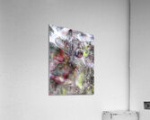 V1645 Acrylic Print