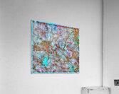 V1648 Acrylic Print