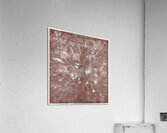 V1649 Acrylic Print