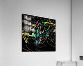 V1650 Acrylic Print