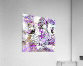 V1656 Acrylic Print