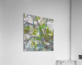 V1658 Acrylic Print