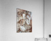 V1662 Acrylic Print