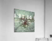 V1673 Acrylic Print