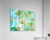 V1678 Acrylic Print