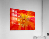 V1693 Acrylic Print