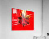 V1700 Acrylic Print