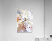 V1702 Acrylic Print