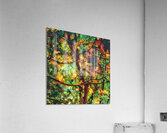 V1704 Acrylic Print