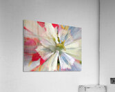 V1705 Acrylic Print