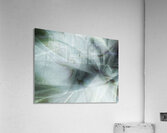 V1726 Acrylic Print