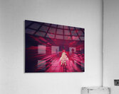 V1734 Acrylic Print