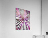 V1739 Acrylic Print