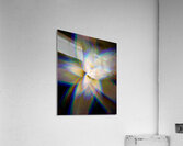 V1754 Acrylic Print
