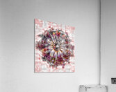 V1757 Acrylic Print