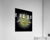 V1761 Acrylic Print