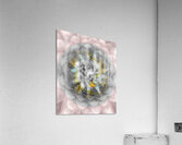 V1762 Acrylic Print