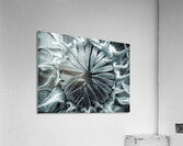 V1767 Acrylic Print