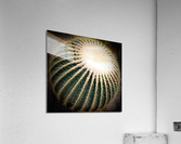 V00 Acrylic Print