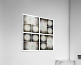 V01 Acrylic Print
