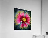 V04 Acrylic Print