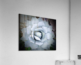 V06 Acrylic Print