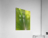 V08 Acrylic Print