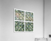 V09 Acrylic Print