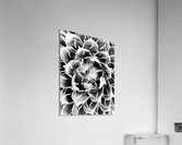 V10 Acrylic Print