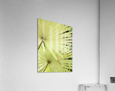 V12 Acrylic Print