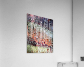 V15 Acrylic Print