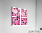 V21 Acrylic Print