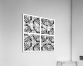 V25 Acrylic Print