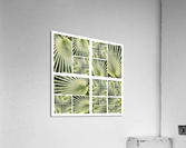 V27 Acrylic Print