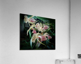 V28 Acrylic Print