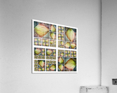 V34 Acrylic Print