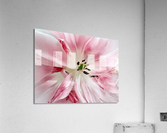 V35 Acrylic Print