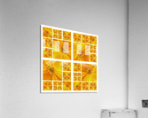V36 Acrylic Print