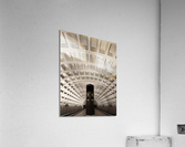 V37 Acrylic Print