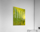 V38 Acrylic Print