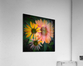 V40 Acrylic Print
