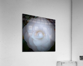 V42 Acrylic Print
