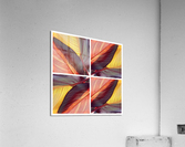 V44 Acrylic Print